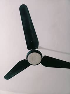Lahore celling fan