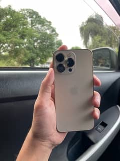 Iphone 13 pro dual pta approved