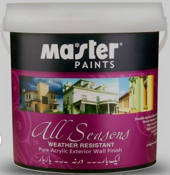 paint work with project expert tem k sath / paint service  / painters 2