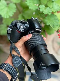 D3100 and lens