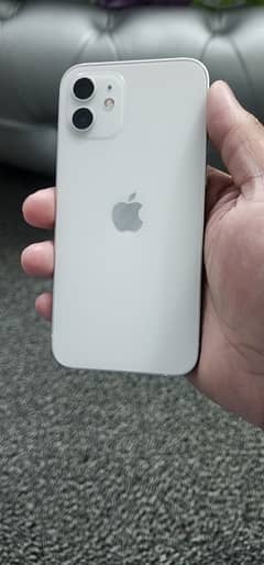 Apple iphone 12 (256gb)