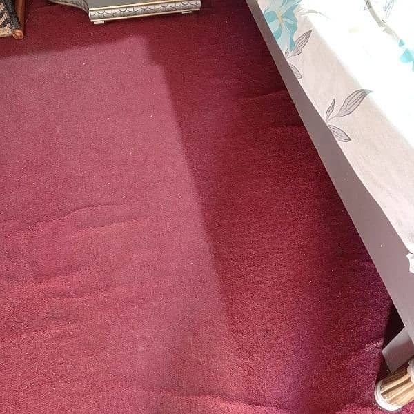 new condition carpet 1