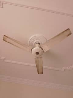 used silling fan . . perfect in working. .
