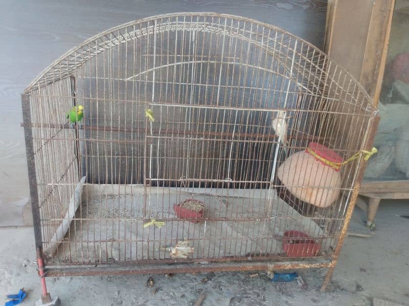 Cage for sell 2