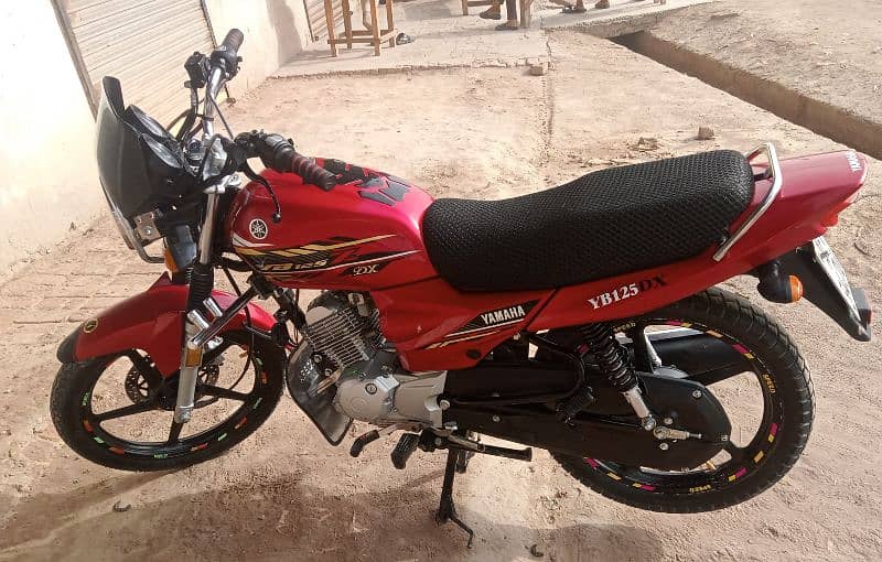 Condition Like New Bike 13