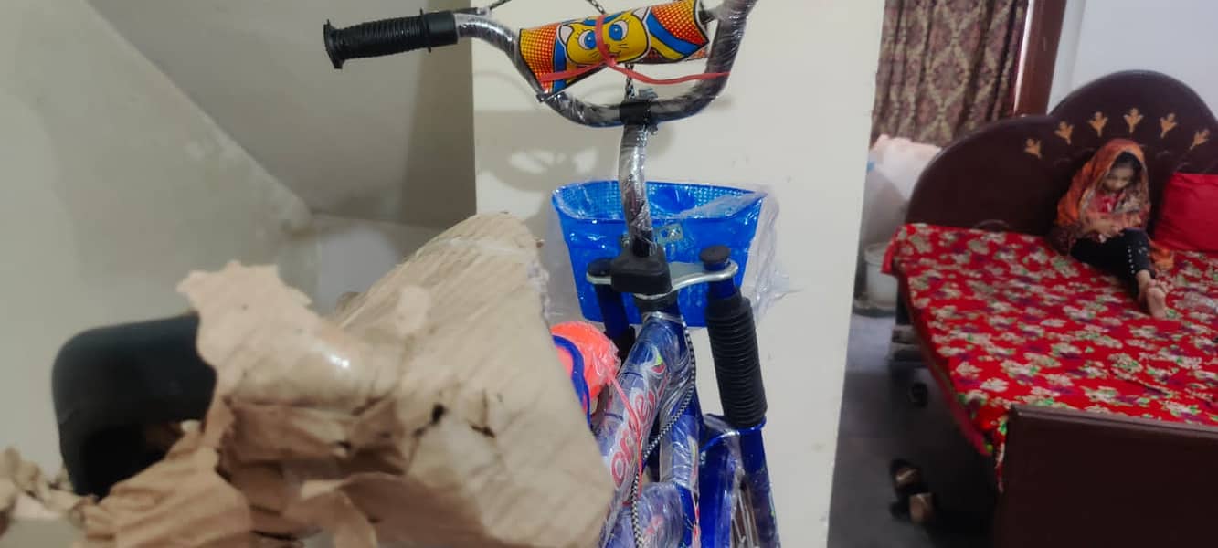 Brand New Cycle For Sale in Lahore 2