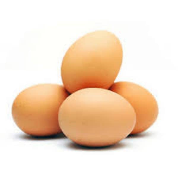 Desi Eggs 0