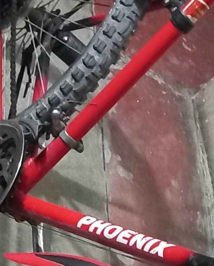 Phoenix Gear Bicycle 03004182963 7