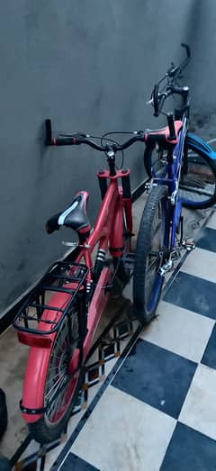 Plus bicycles Size 26 & Size 20 0