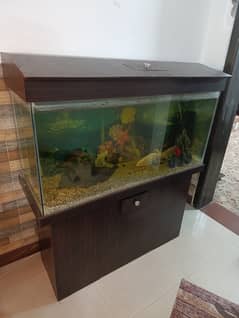 Fish Aquarium Large size