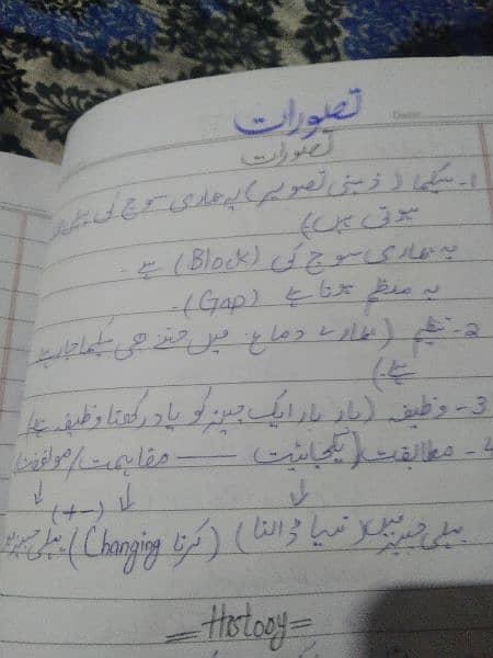 Urdu to English 5