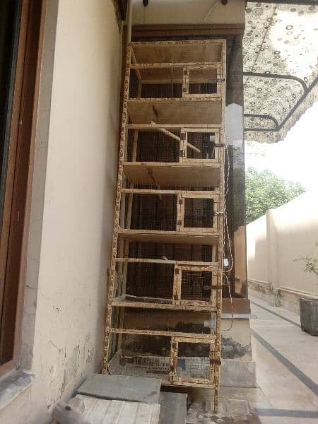5 portion cage/Bird cage/Aseel cage/Aseel/Heera aseel/cage/wood cage/ 0