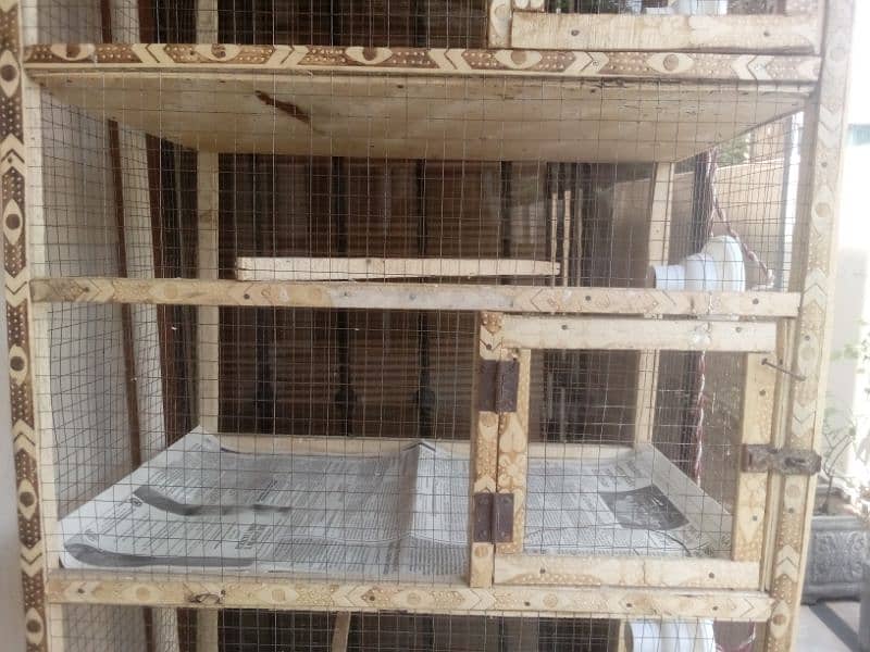 5 portion cage/Bird cage/Aseel cage/Aseel/Heera aseel/cage/wood cage/ 5