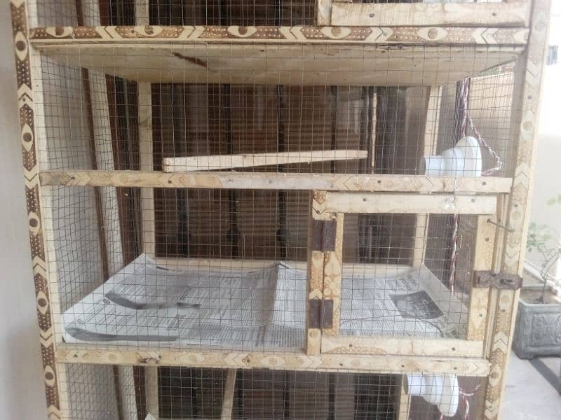 5 portion cage/Bird cage/Aseel cage/Aseel/Heera aseel/cage/wood cage/ 6