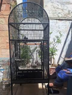 cage for sale for pet parrots