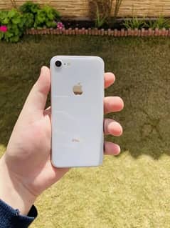 Iphone 8 64gb Pta Approved