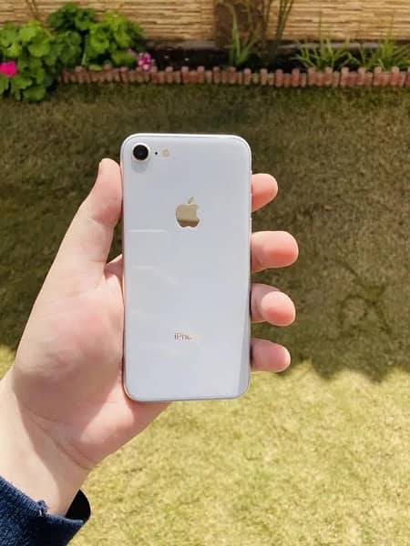 Iphone 8 64gb Pta Approved 0