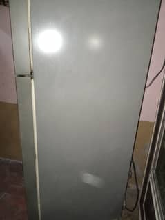 Haier company refrigerator for sali