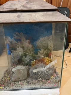 Aquarium with upper wood top for sale 15inch*9in