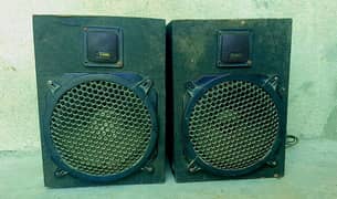 9'' Speaker without emplifier