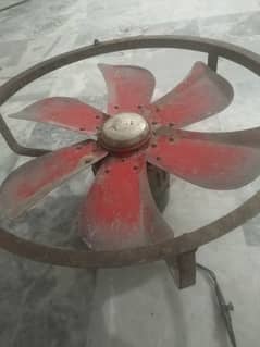 Lahori Air Cooler Fan
