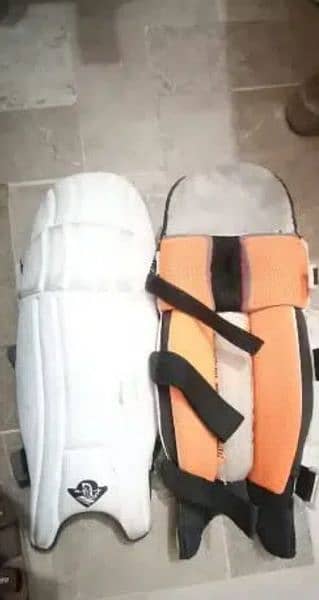 cricket kit with bag 2