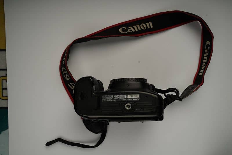 Canon 6D Mark ll 4