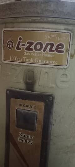 I zone geyser for sale