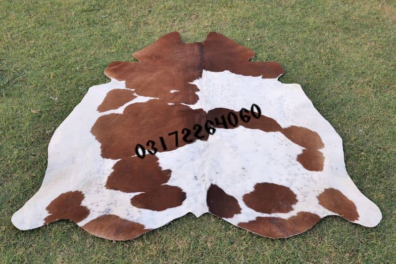 Cowhide leather Skin Collection 1