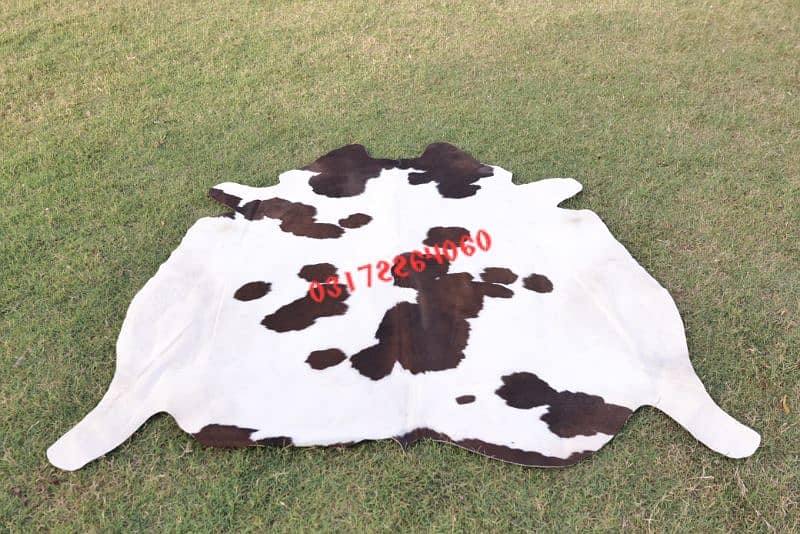 Cowhide leather Skin Collection 2