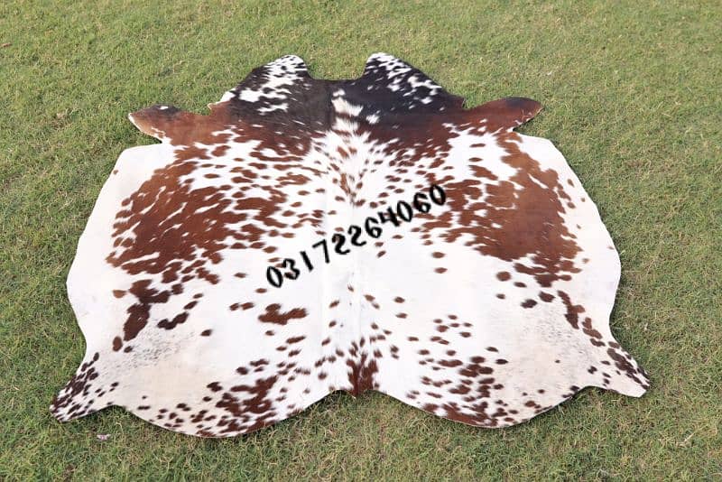 Cowhide leather Skin Collection 5