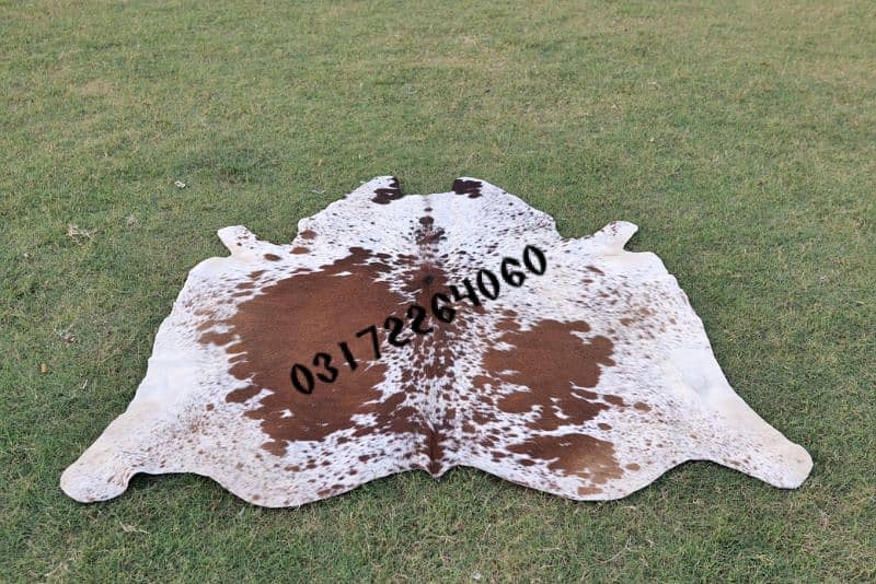 Cowhide leather Skin Collection 6