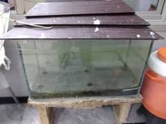 Fish Aquarium for sale