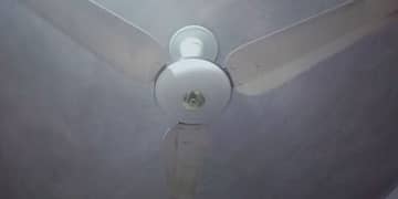 SK Ceiling Fan with life time warranty