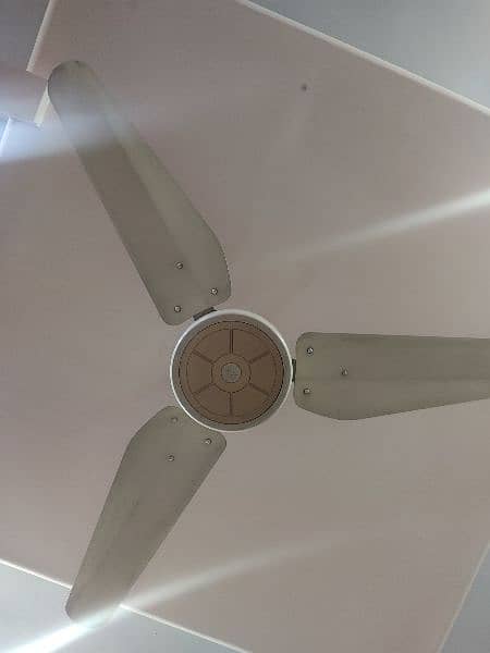 Pak Fan's Executive 56inch Ceiling Fan 100% Copper. 10/10 condition 1