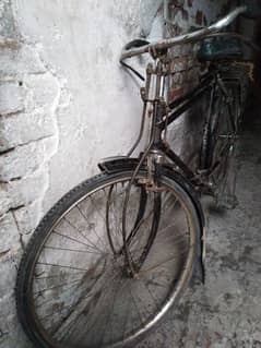 Baba cycle