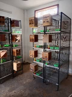 cages for sale each 20000