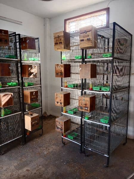 cages for sale each 20000 0