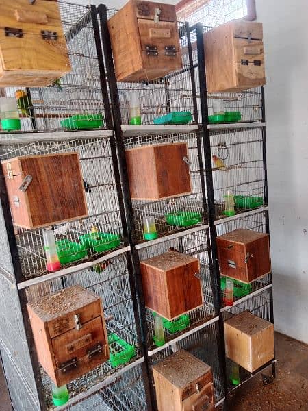 cages for sale each 20000 2