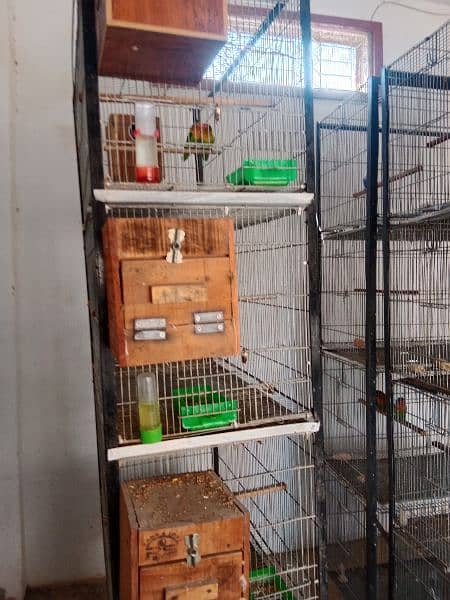 cages for sale each 20000 4