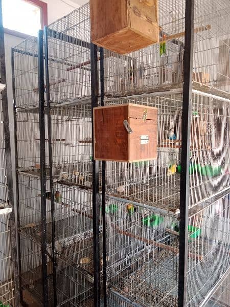 cages for sale each 20000 5