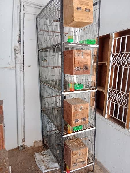 cages for sale each 20000 6