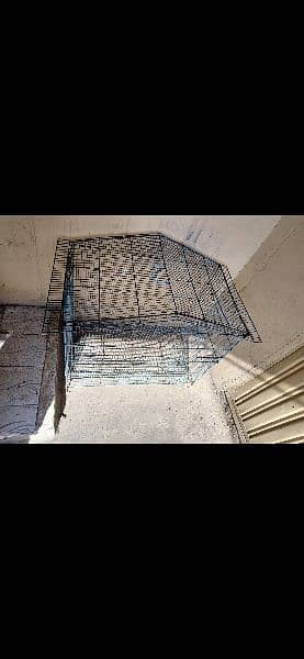 Hen Cage, Cage, parrot Cage, pinjra, cat cage, Dog Cage 0