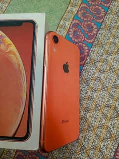 iphone xr  box & charger 100%