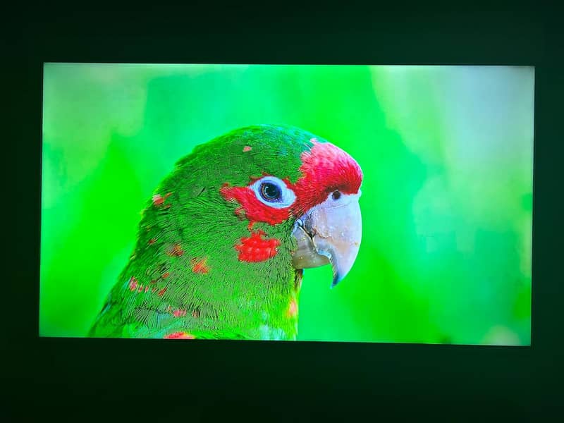 TCL P615 43 inches SMART & 4K LED TV Android 2