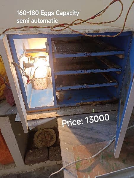 Incubator and Brooder Good condition 0