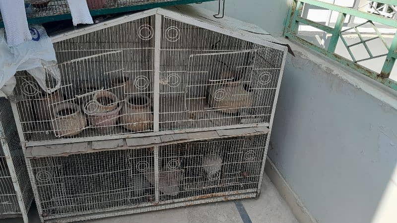 Cages for sale 4