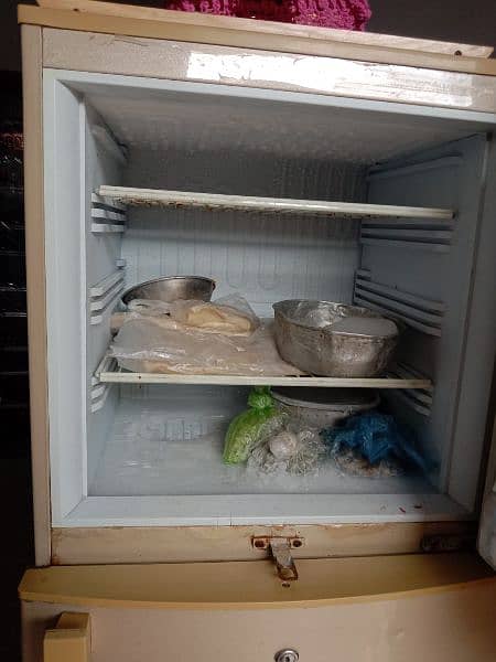 PEL Refrigerator in working Condition 0