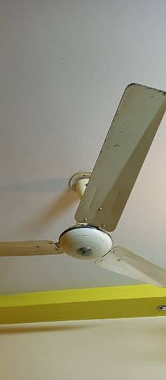pak fan 75w celling fan