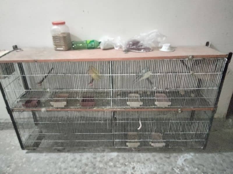 Cage and birds sale in very low price 1